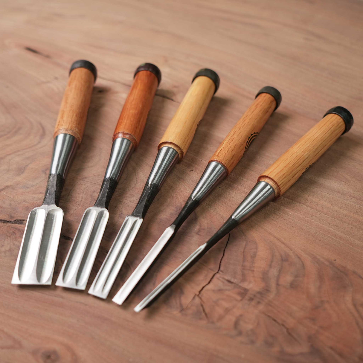 Temple Tool Co Japanese Bench Chisels Box Set (1", ¾", ½", ¼", ⅛")