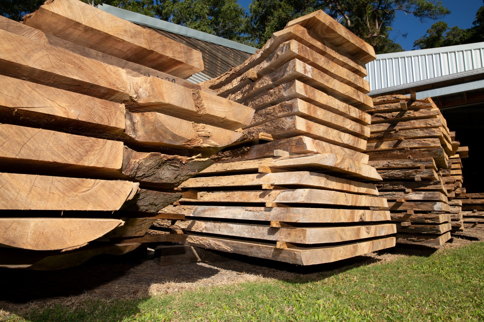 Is Your Wood Ready To Work?