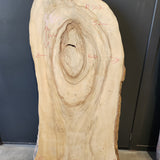 Camphor Laurel Slab 307