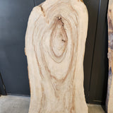 Camphor Laurel Slab 307