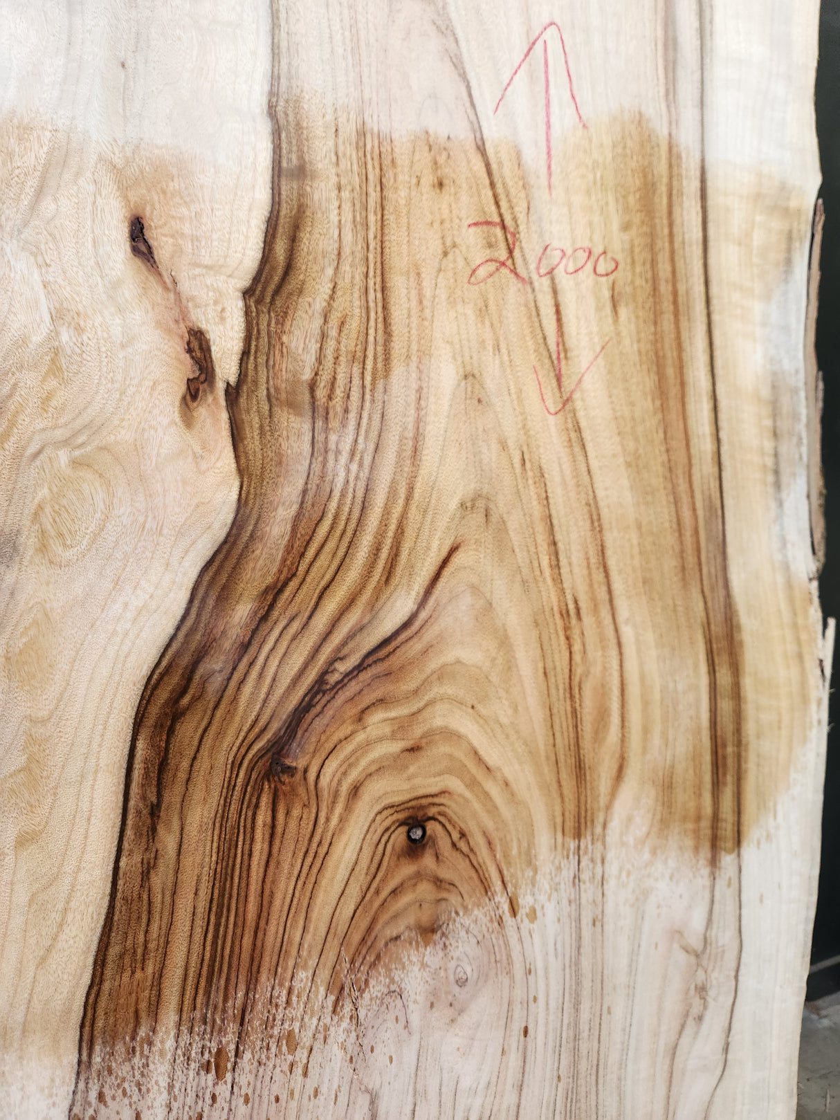 Camphor Laurel Slab 306