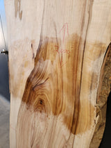 Camphor Laurel Slab 306