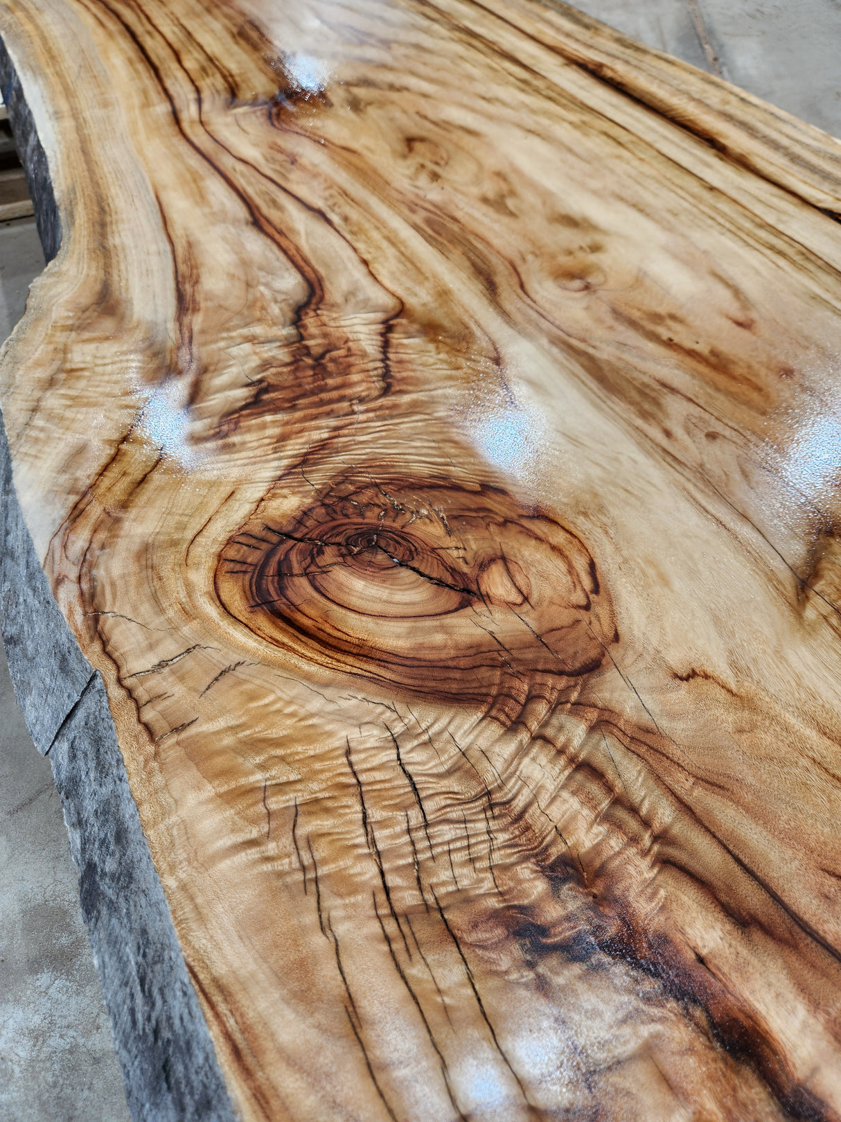 Camphor Laurel Slab 305