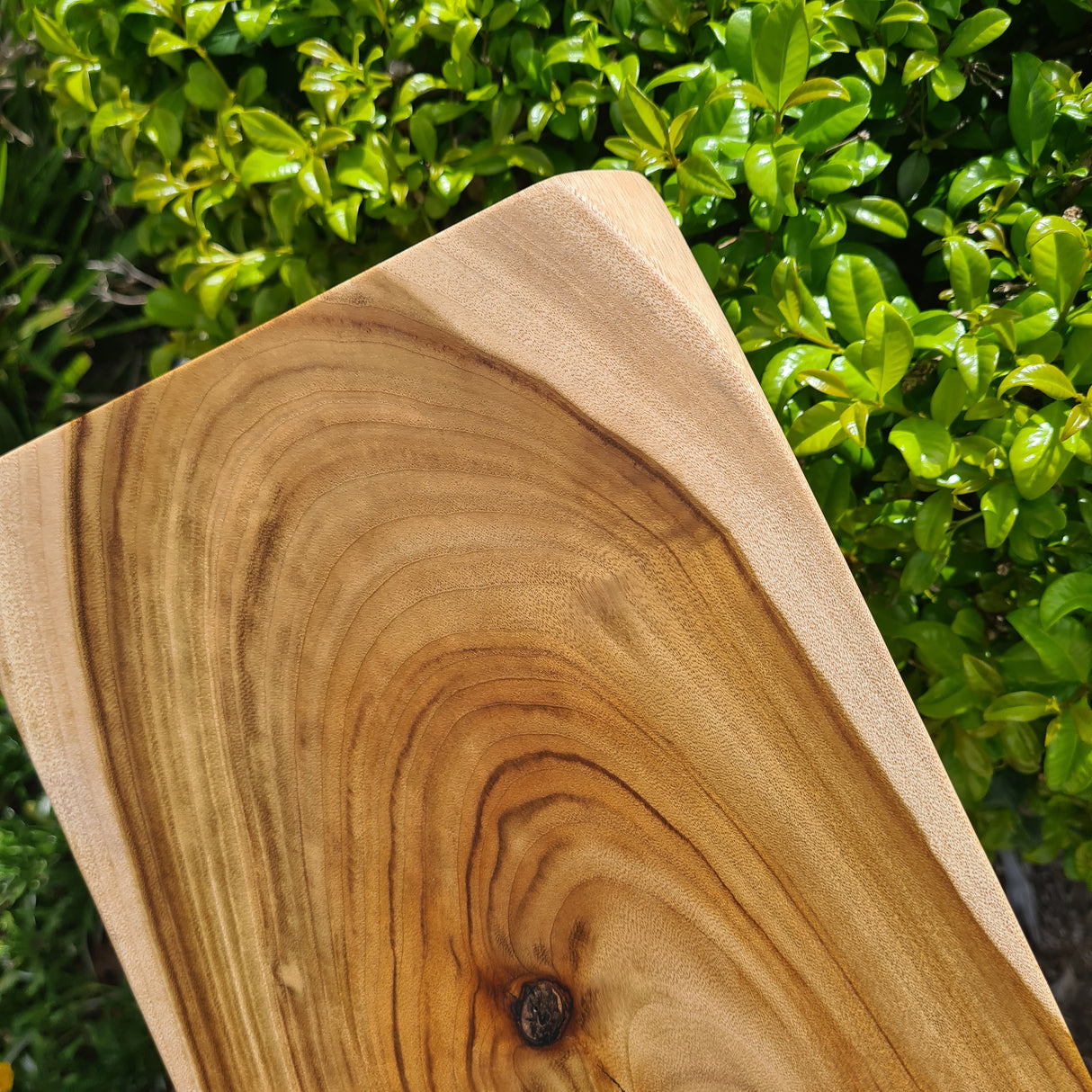 Camphor Laurel Serving Board 2