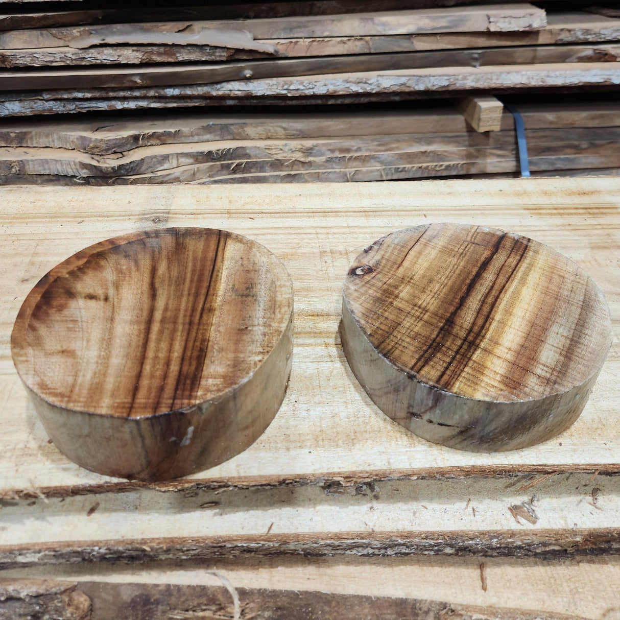 200mm Camphor Laurel Round Turning Blanks - Wet