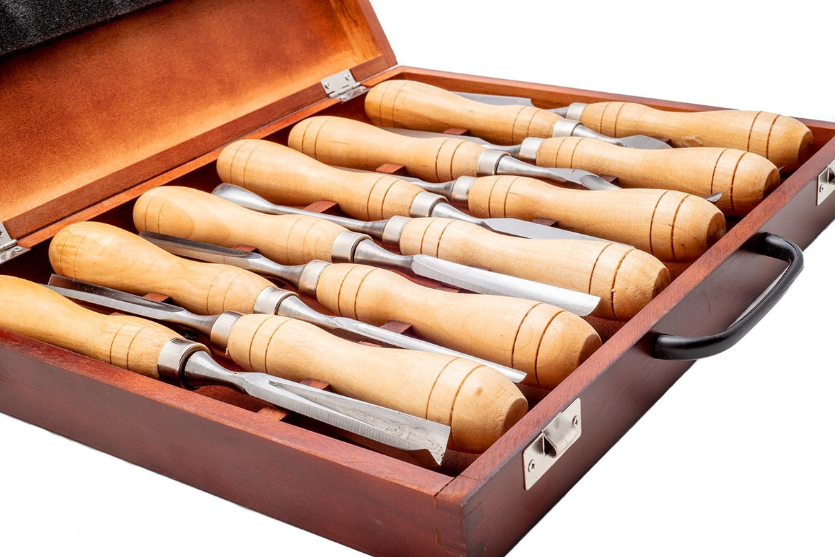 Set of 12 Beginners Wood Carving Tools