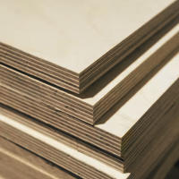 Hammer Roo Birch Plywood Furniture Grade B/BB 12mm for cabinetry and furniture making