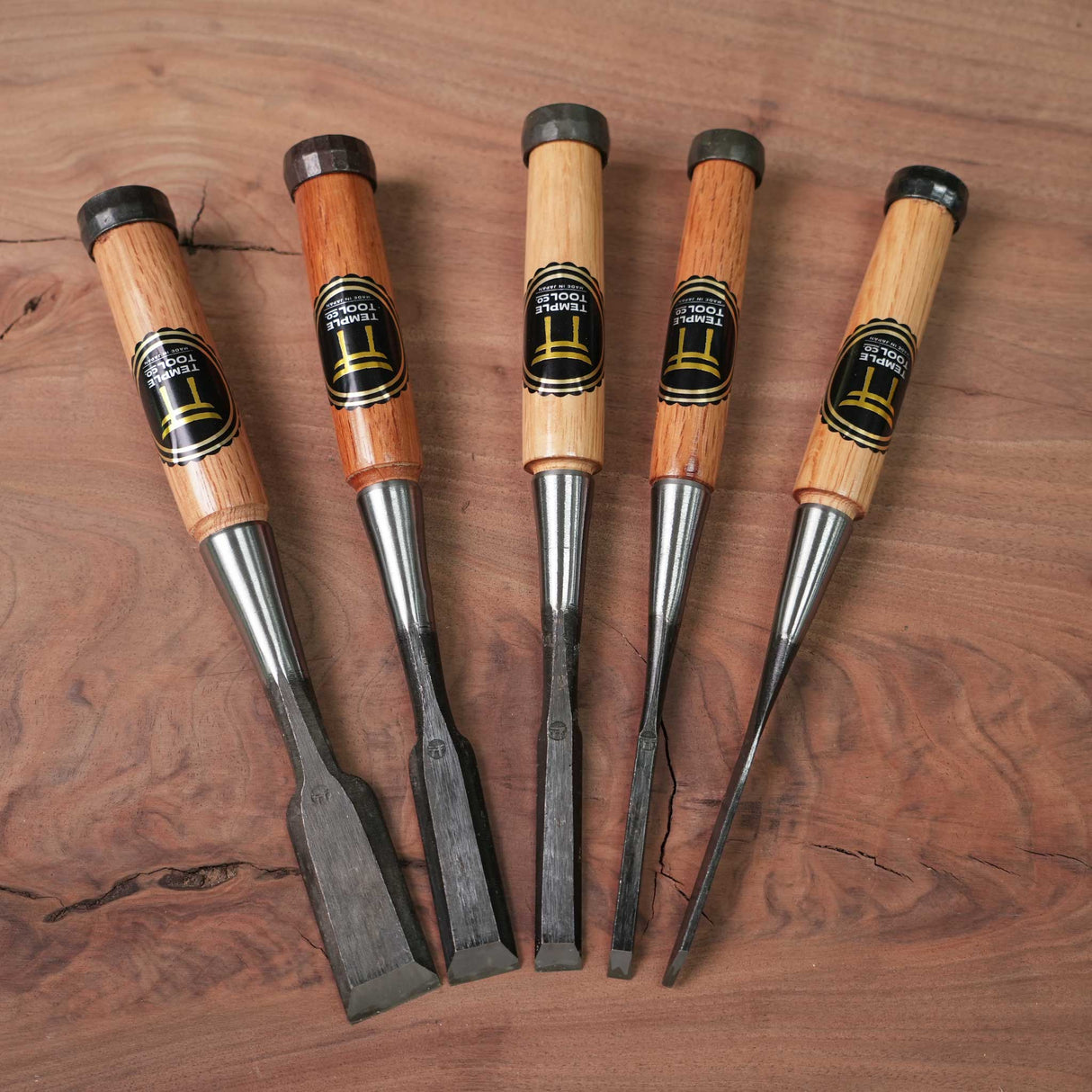 Temple Tool Co Japanese Bench Chisels Box Set (1", ¾", ½", ¼", ⅛")