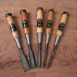 Temple Tool Co Japanese Bench Chisels Box Set (1", ¾", ½", ¼", ⅛")