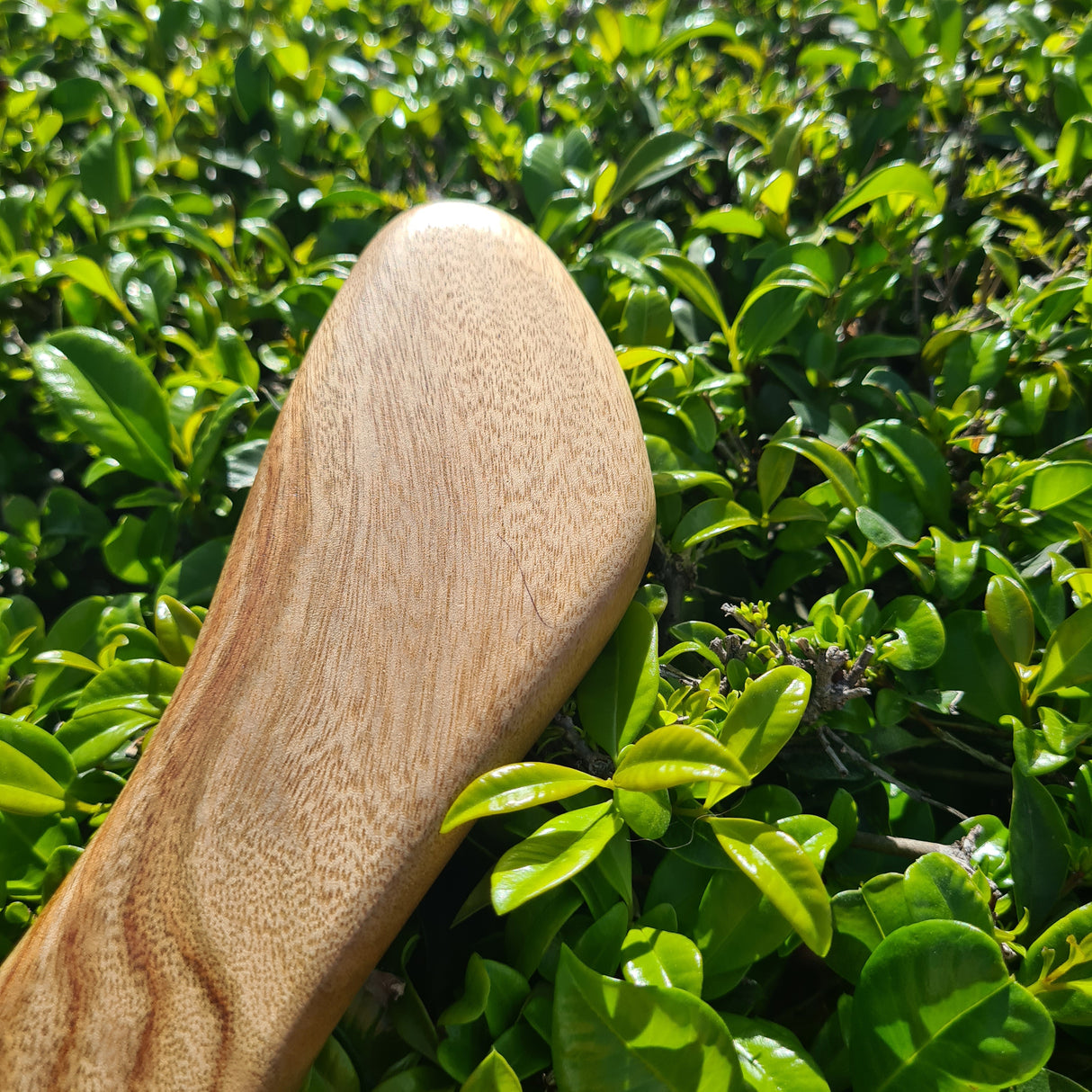 Camphor Laurel Serving Board With Handle