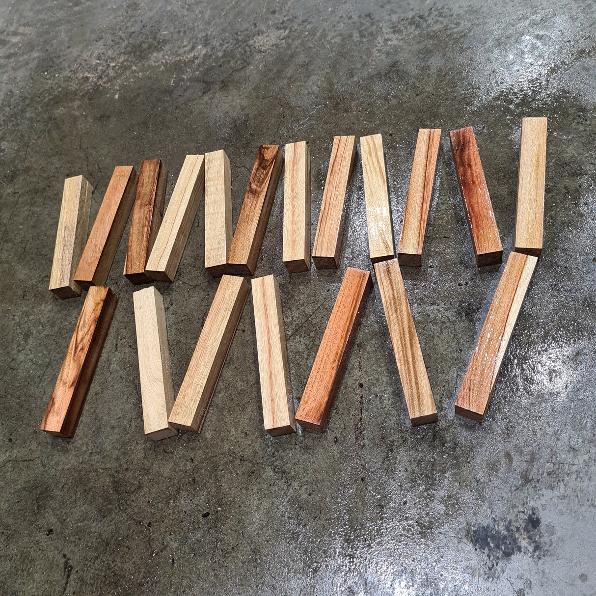 Camphor Laurel Pen Turning Blanks