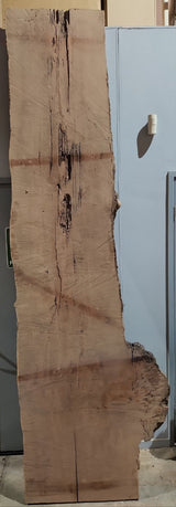 Western Australian Jarrah Burl Slab J2