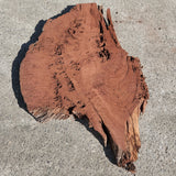 Jarrah Burl Slice 161