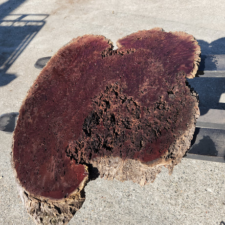 Jarrah Burl Slice 163